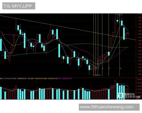 杭州羽毛球队与成都羽毛球队赛后复盘分析比赛节奏与战术对决