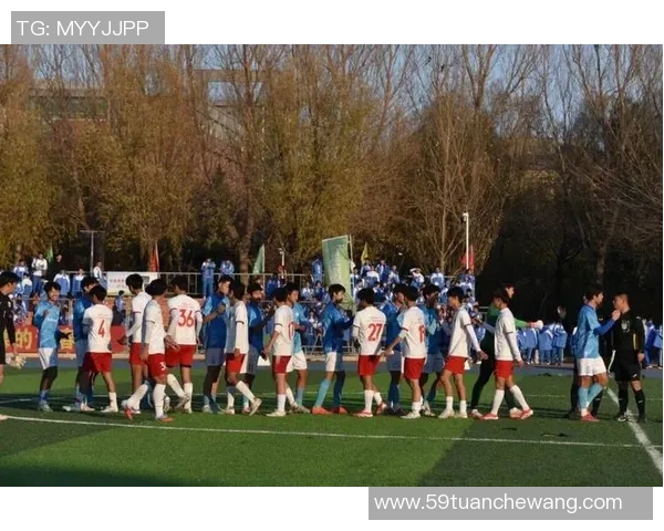 足球场上的梦想与荣耀少年们的拼搏与成长之路