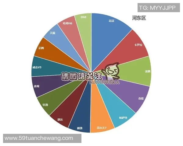 独家分析：上海篮球队的团队协作对比