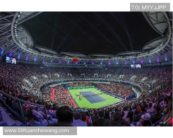 数据分析：上海网球队的状态表现