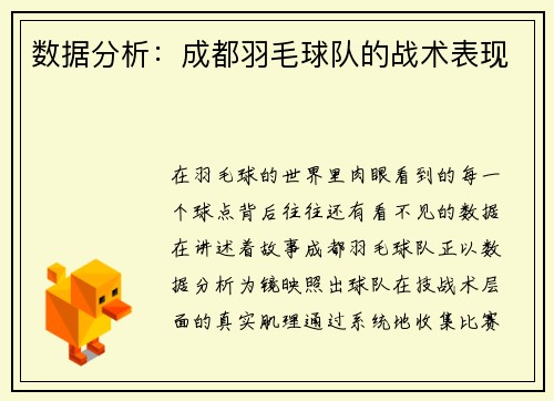 数据分析：成都羽毛球队的战术表现